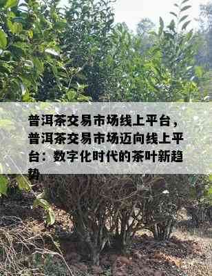 普洱茶交易市场线上平台，普洱茶交易市场迈向线上平台：数字化时代的茶叶新趋势