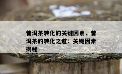 普洱茶转化的关键因素，普洱茶的转化之道：关键因素揭秘