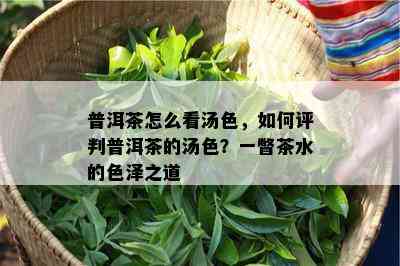 普洱茶怎么看汤色，如何评判普洱茶的汤色？一瞥茶水的色泽之道