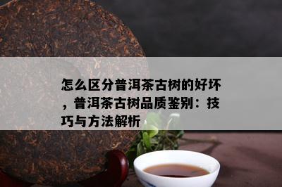 怎么区分普洱茶古树的好坏，普洱茶古树品质鉴别：技巧与方法解析