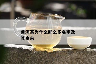 普洱茶为什么那么多名字及其由来