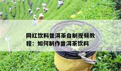 网红饮料普洱茶自制视频教程：如何制作普洱茶饮料