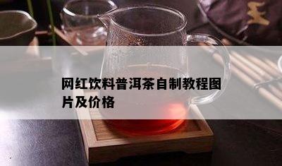 网红饮料普洱茶自制教程图片及价格