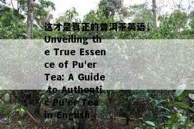 这才是真正的普洱茶英语，Unveiling the True Essence of Pu'er Tea: A Guide to Authentic Pu'er Tea in English