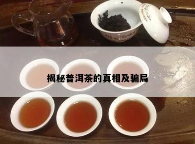 揭秘普洱茶的真相及骗局