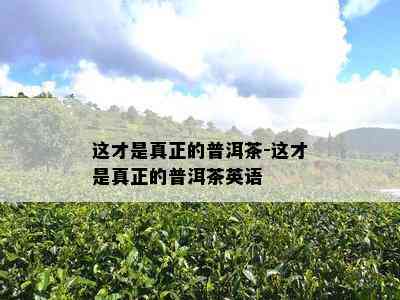 这才是真正的普洱茶-这才是真正的普洱茶英语