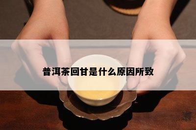 普洱茶回甘是什么原因所致