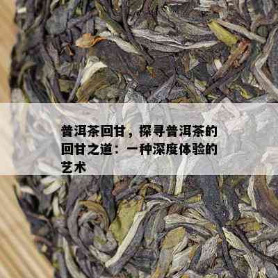 普洱茶回甘，探寻普洱茶的回甘之道：一种深度体验的艺术