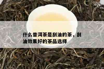 什么普洱茶是刮油的茶，刮油效果好的茶品选择