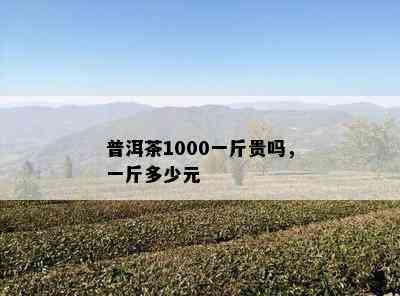 普洱茶1000一斤贵吗，一斤多少元