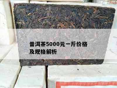 普洱茶5000元一斤价格及规格解析