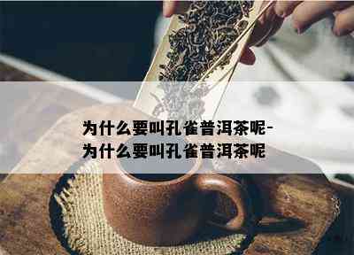 为什么要叫孔雀普洱茶呢-为什么要叫孔雀普洱茶呢