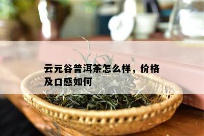 云元谷普洱茶怎么样，价格及口感如何