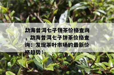 勐海普洱七子饼茶价格查询，勐海普洱七子饼茶价格查询：发现茶叶市场的最新价格趋势！