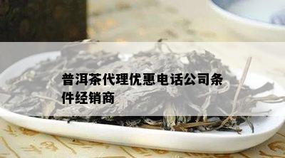 普洱茶代理优惠电话公司条件经销商