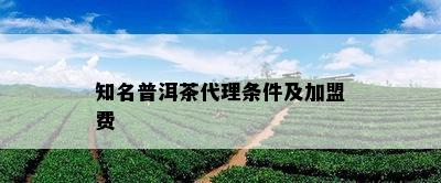 知名普洱茶代理条件及加盟费