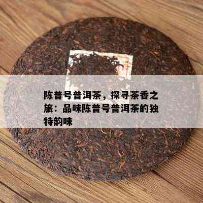 陈普号普洱茶，探寻茶香之旅：品味陈普号普洱茶的独特韵味