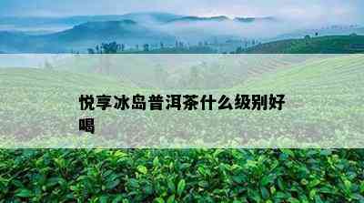 悦享冰岛普洱茶什么级别好喝