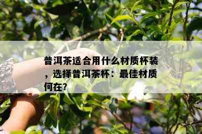 普洱茶适合用什么材质杯装，选择普洱茶杯：更佳材质何在？