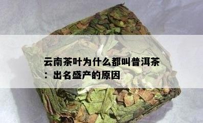 云南茶叶为什么都叫普洱茶：出名盛产的原因