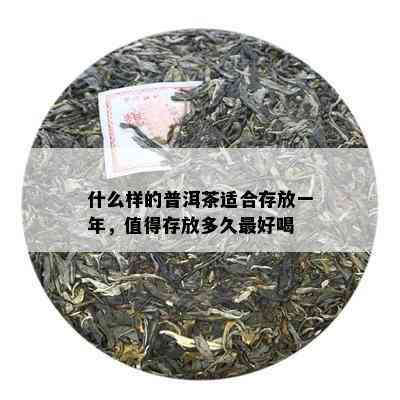 什么样的普洱茶适合存放一年，值得存放多久更好喝