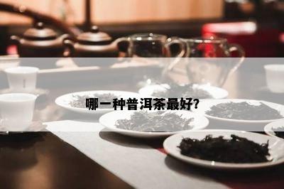 哪一种普洱茶更好？