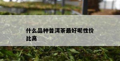 什么品种普洱茶更好呢性价比高