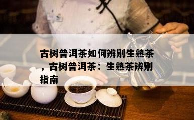 古树普洱茶如何辨别生熟茶，古树普洱茶：生熟茶辨别指南