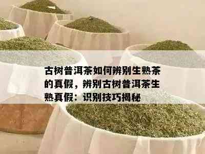 古树普洱茶如何辨别生熟茶的真假，辨别古树普洱茶生熟真假：识别技巧揭秘