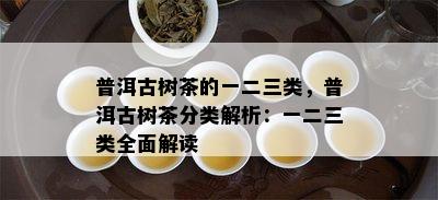 普洱古树茶的一二三类，普洱古树茶分类解析：一二三类全面解读