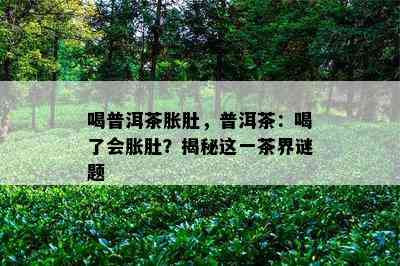 喝普洱茶胀肚，普洱茶：喝了会胀肚？揭秘这一茶界谜题