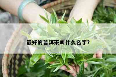 更好的普洱茶叫什么名字？