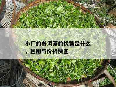 小厂的普洱茶的优势是什么，区别与价格便宜