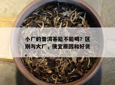 小厂的普洱茶能不能喝？区别与大厂，便宜原因和好货。