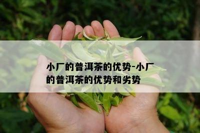 小厂的普洱茶的优势-小厂的普洱茶的优势和劣势