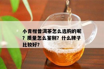 小青柑普洱茶怎么选购的呢？质量怎么鉴别？什么牌子比较好？