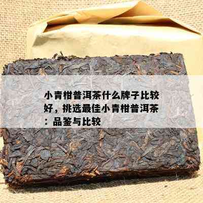 小青柑普洱茶什么牌子比较好，挑选更佳小青柑普洱茶：品鉴与比较