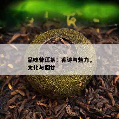 品味普洱茶：香诗与魅力，文化与回甘