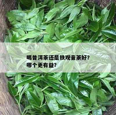 喝普洱茶还是铁观音茶好？哪个更有益？