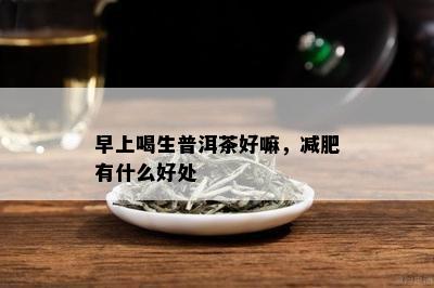 早上喝生普洱茶好嘛，减肥有什么好处