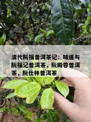 清代阮福普洱茶记：味道与阮福记普洱茶，阮殿蓉普洱茶，阮仕林普洱茶