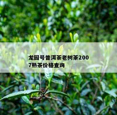 龙园号普洱茶老树茶2007熟茶价格查询