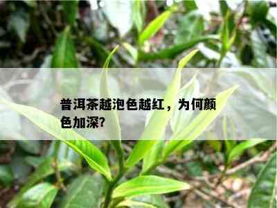 普洱茶越泡色越红，为何颜色加深？