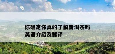 你确定你真的了解普洱茶吗英语介绍及翻译