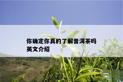 你确定你真的了解普洱茶吗英文介绍