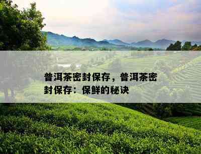 普洱茶密封保存，普洱茶密封保存：保鲜的秘诀