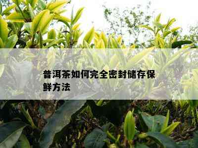 普洱茶如何完全密封储存保鲜方法