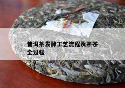 普洱茶发酵工艺流程及熟茶全过程