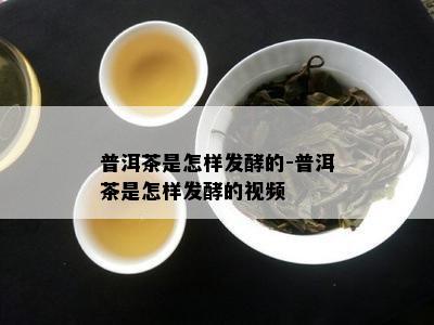 普洱茶是怎样发酵的-普洱茶是怎样发酵的视频