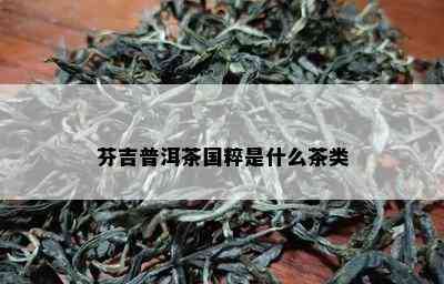 芬吉普洱茶国粹是什么茶类